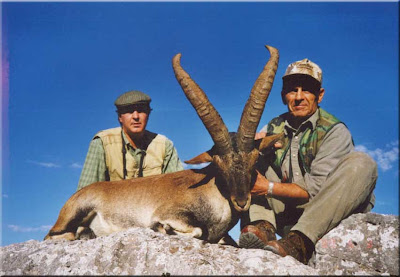 Extinct Animal Clone Extinct Pyrenean Ibex Endangered Species Cloning Animals clone endangered species