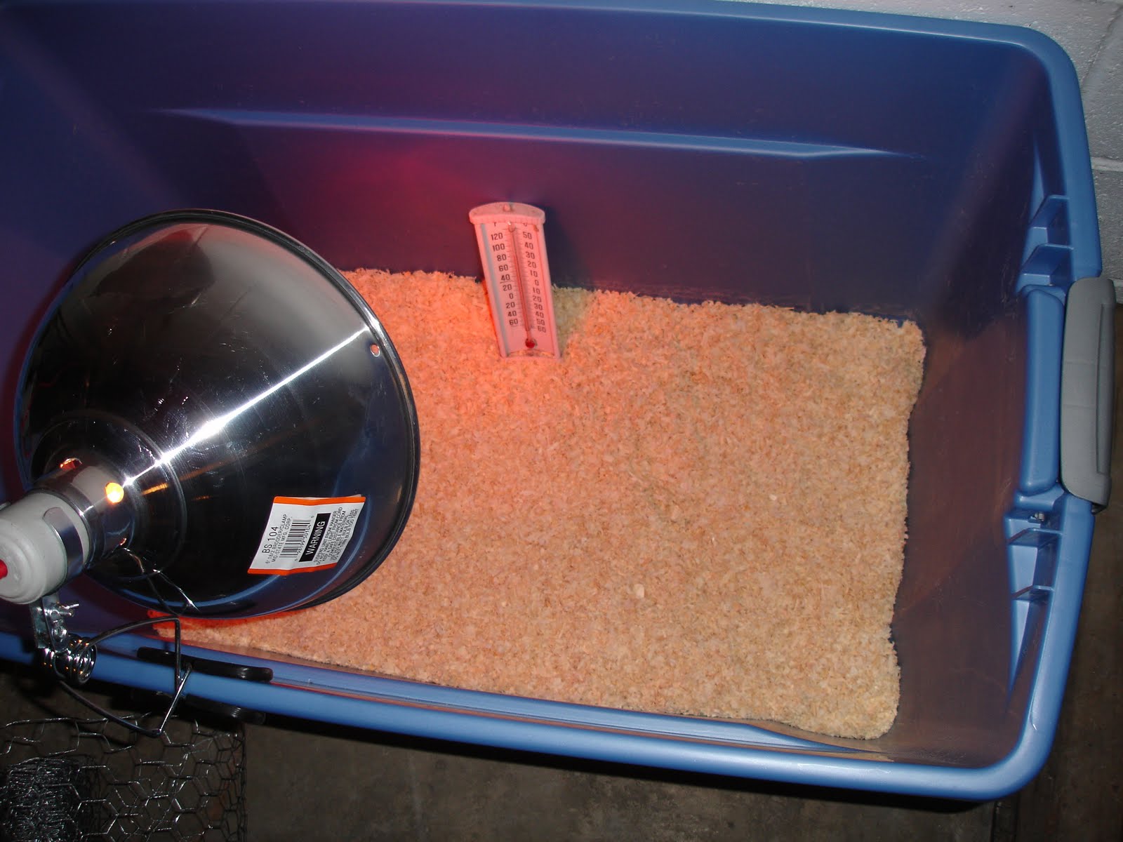 Learning The Frugal Life How to Set Up a Chicken Brooder