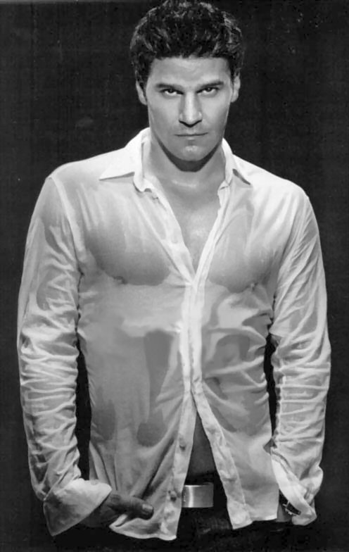 C&DILF: aka the thread where you stop taking me seriously - Page 2 David_boreanaz_04