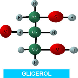ESTRUCTURA DE LIPIDO estructura de lipido:
