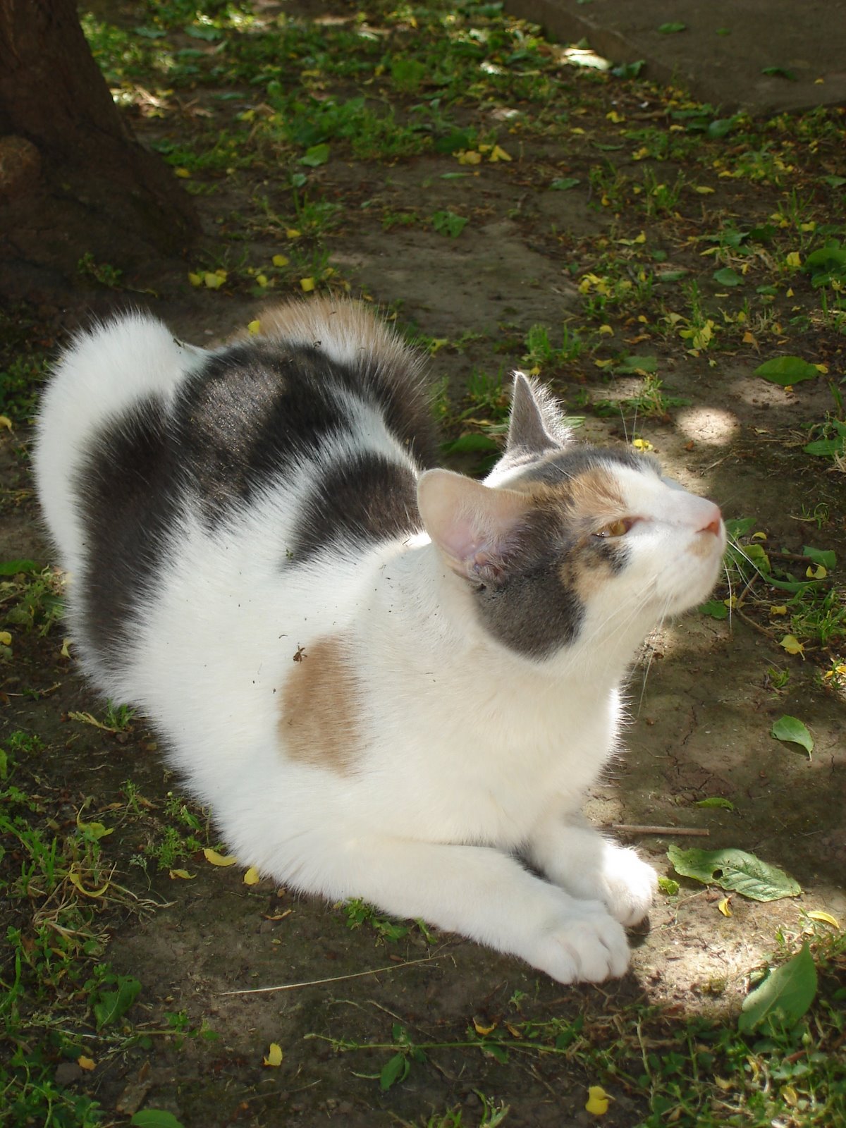 [DSC06189.JPG]