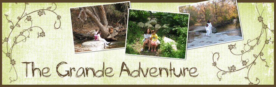 The Grande Adventure