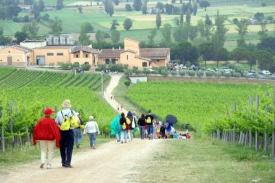 [cantineaperte.jpg]