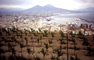 [vesuvio_vigna_campaniachevai.jpg]
