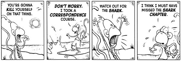 [monkeyshark1.jpg]