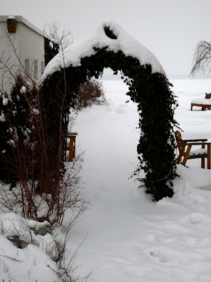 Garten anders: januar 2010