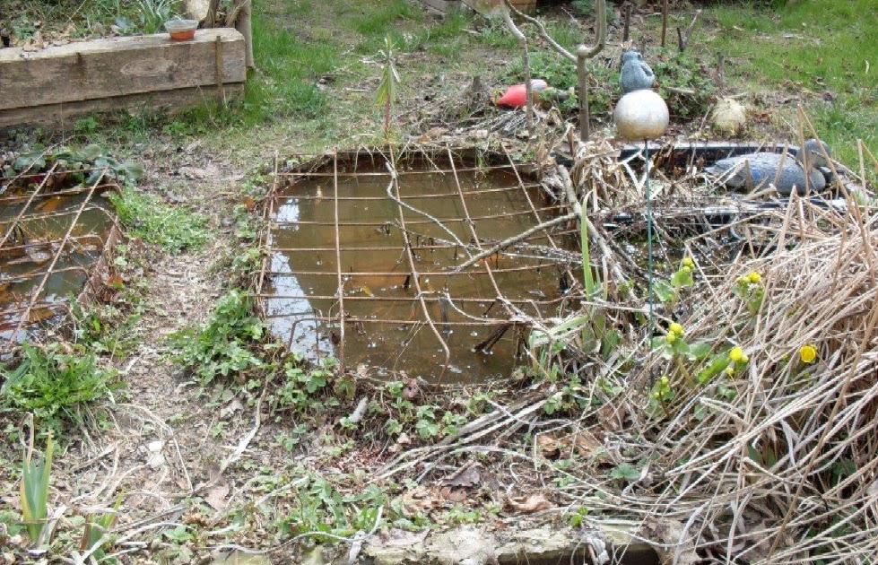 Gartenanders Gartenteiche Was so alles möglich ist / Kindersicherung