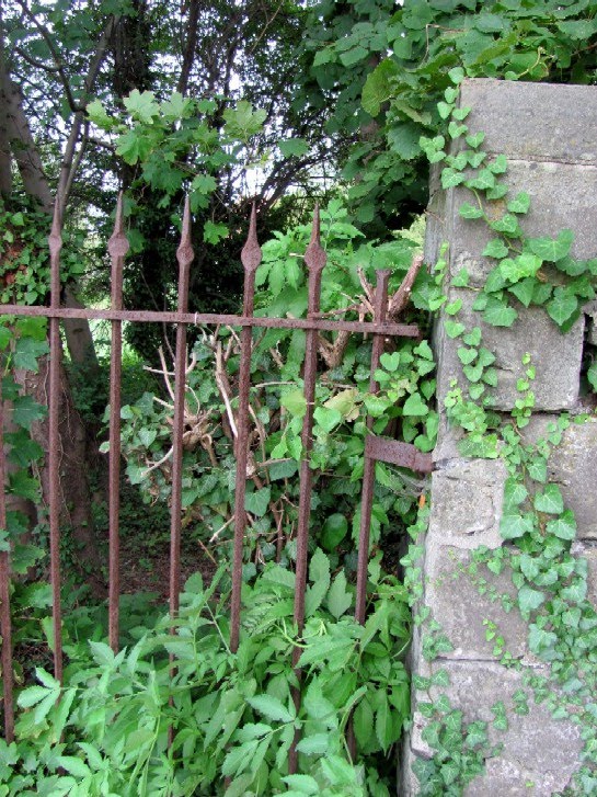 Gartenarbeit ideen: ein alter schmiedeeiserner zaun: im verfall ...
