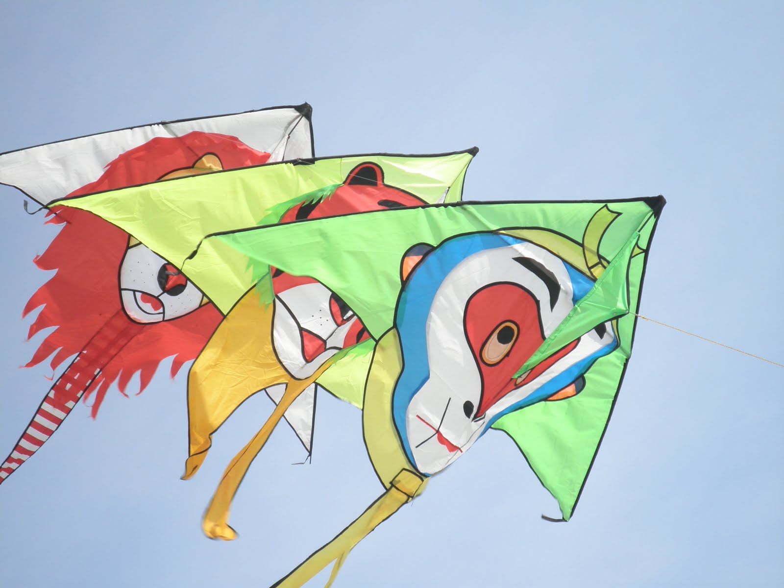 dekitesjunction giant kites