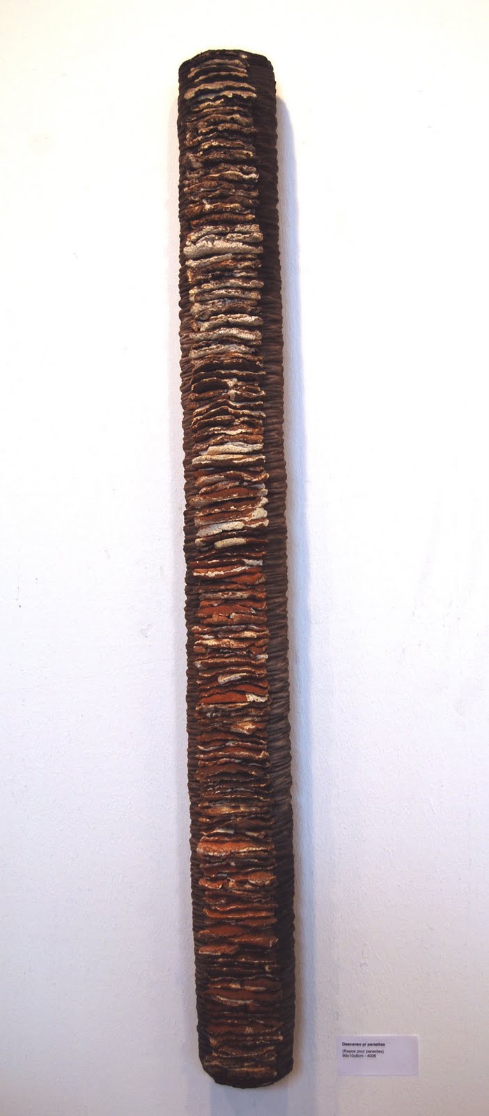 [Descanso+para+Parasitas.JPG]