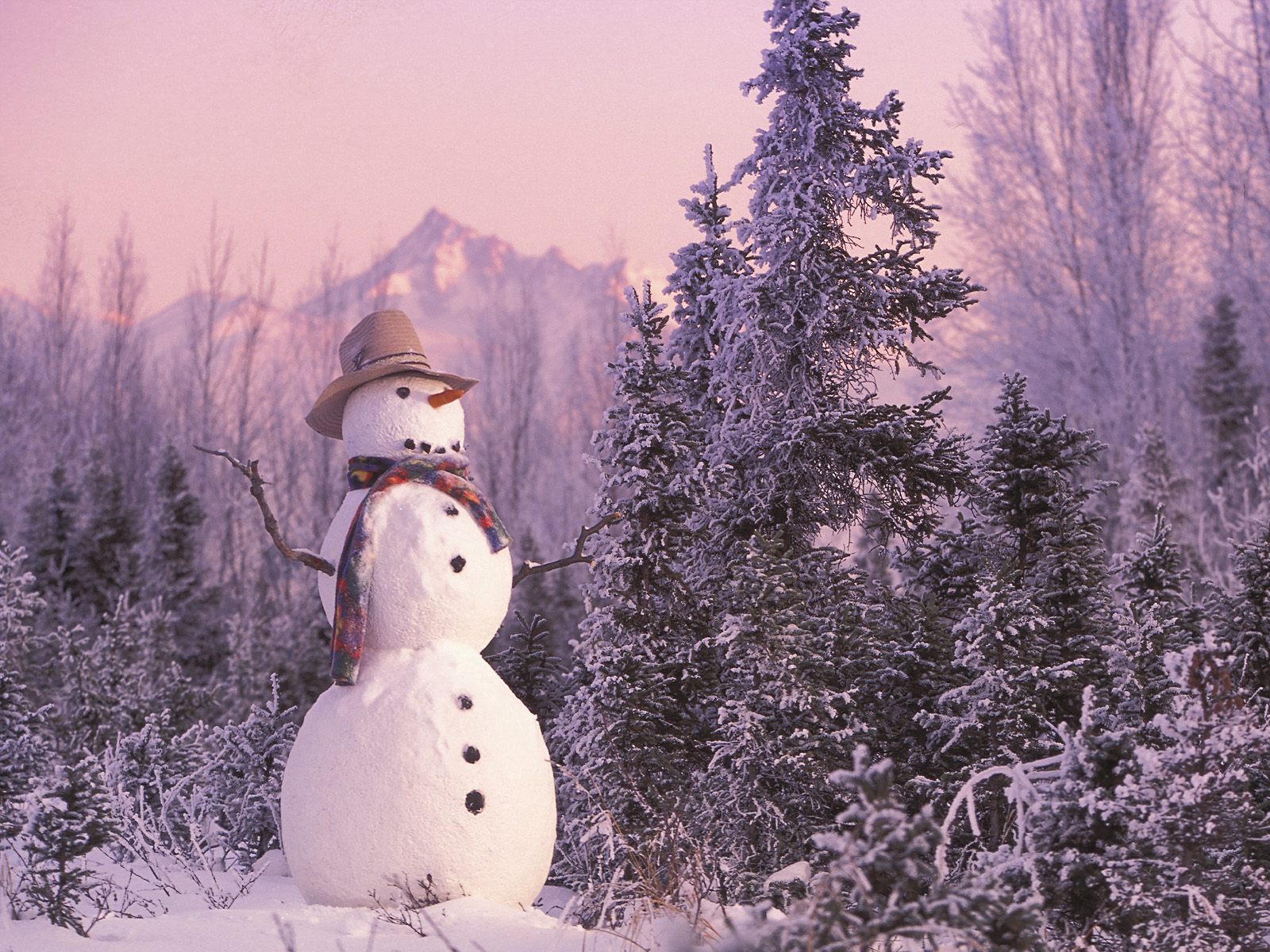 Real Snowman Wallpaper