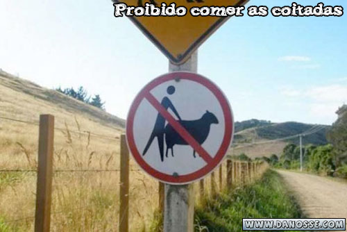 [090328comendoovelhas.jpg]