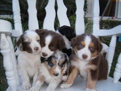 Bet you can't choose just one? 5 weeks
