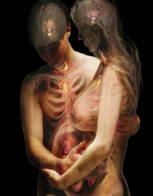 People Through X Rays radiography art