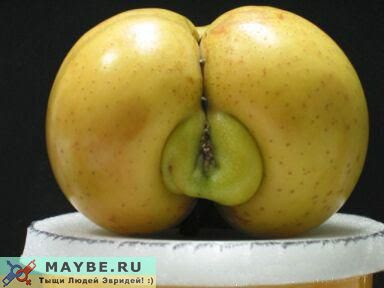 Beautiful and Sexy nature pictures