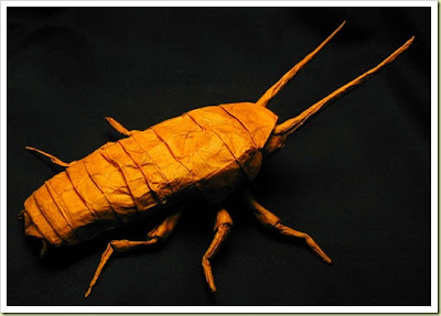 Hissing Cockroach
