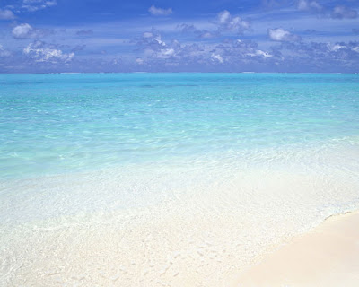 The Most Beautiful Beaches around the World