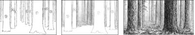 Drawing Light Beyond the Trees