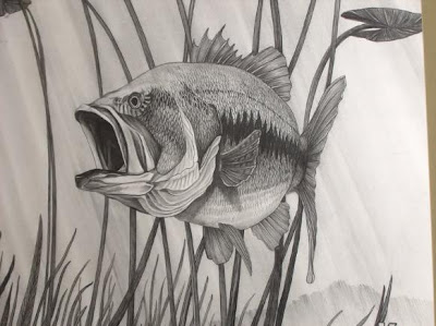 Fishey Drawing :3 Beautiful+fish+pencil+drawing+pictures