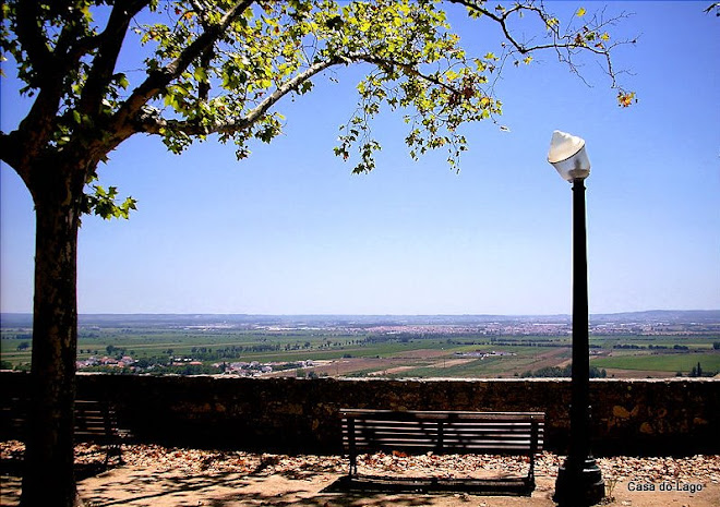 views from " portas do sol", in the castle