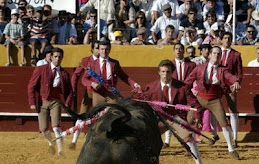 Portuguese style bull fight at Caldas da Rainha
