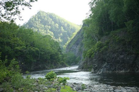 [IMG_4825-Agnevo_R.JPG]