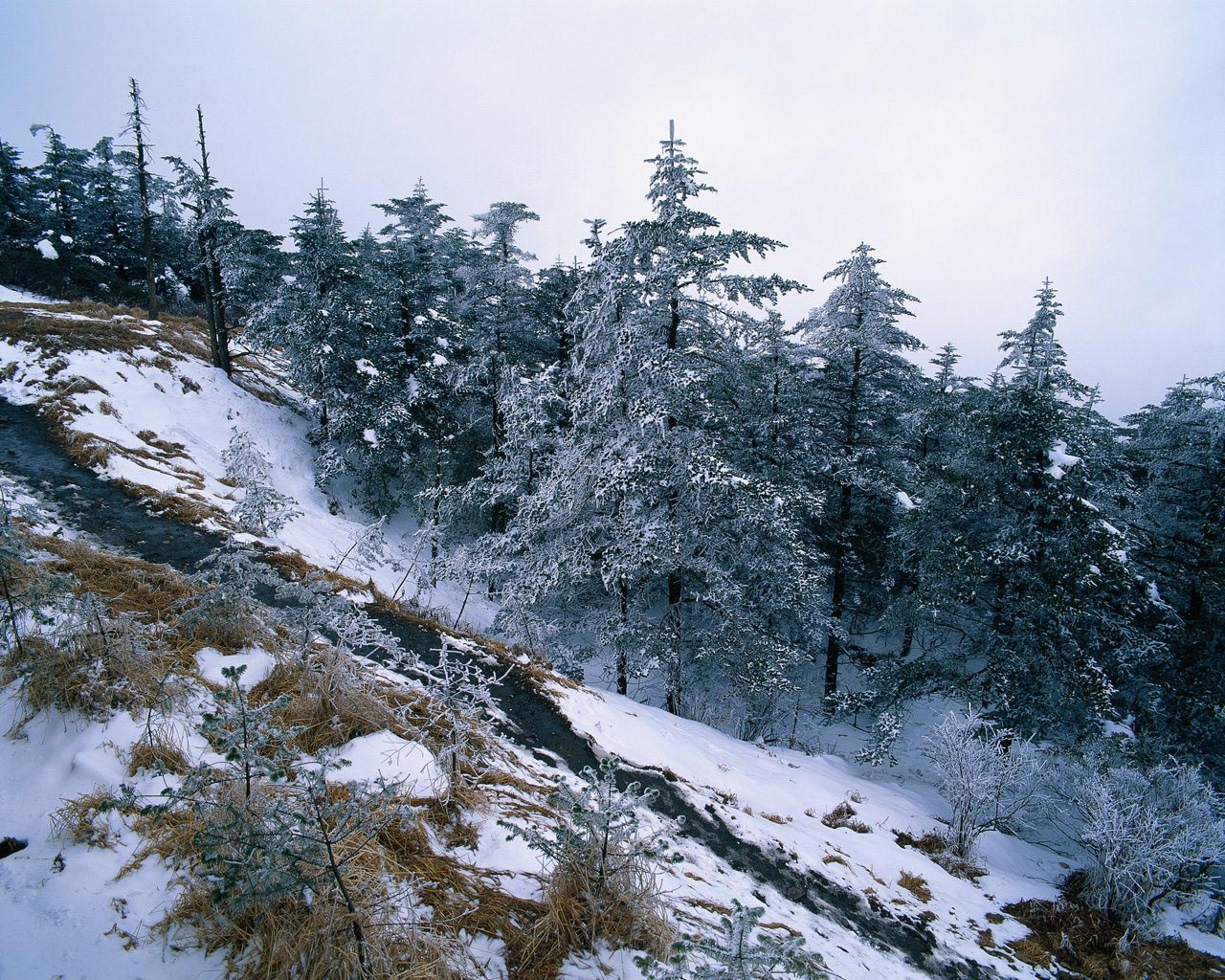 la munte