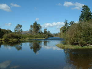 View of Willamette River at Mount Pisgah, Eugene OR