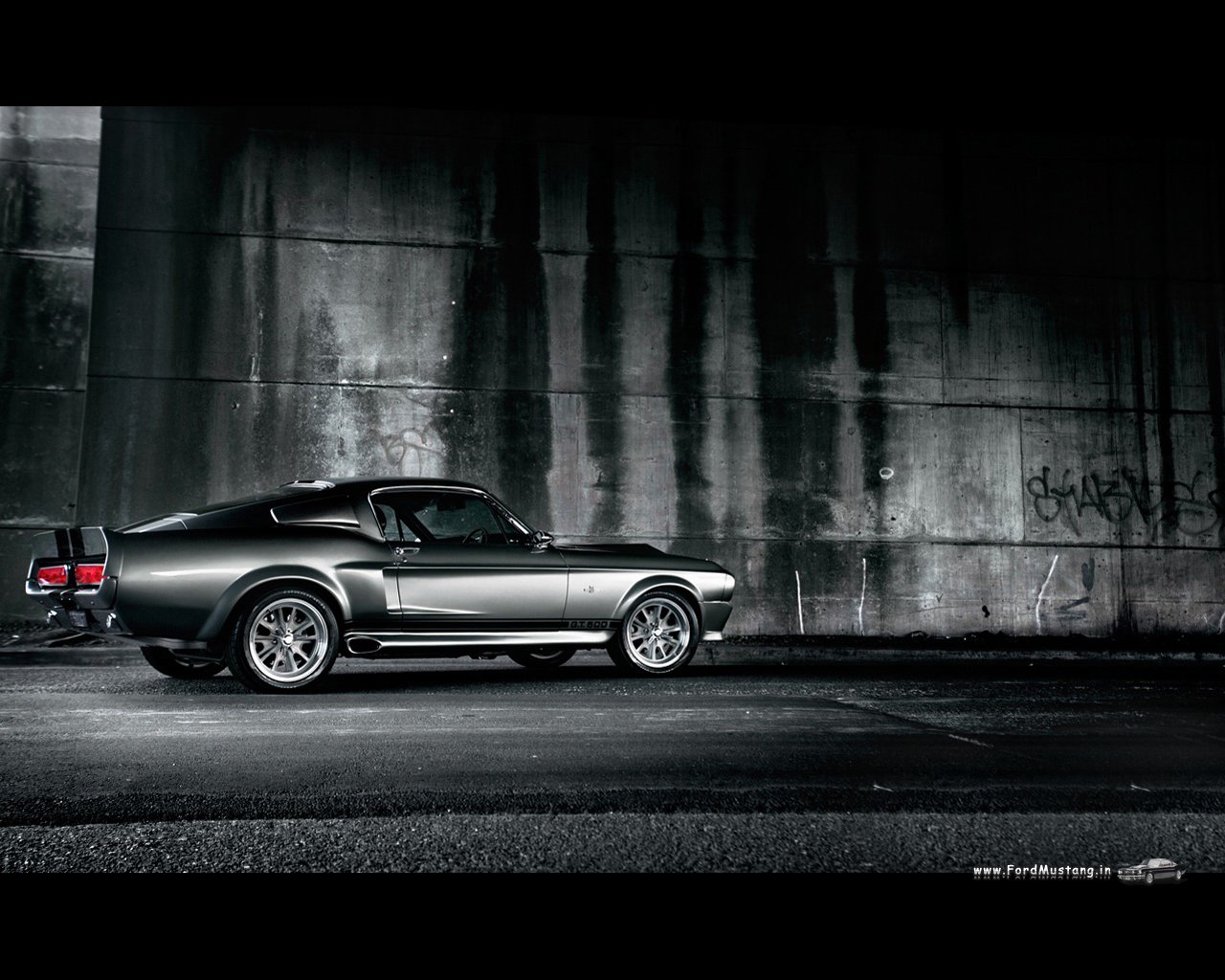 shelby shelby