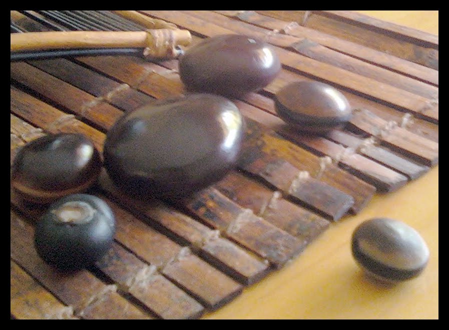 The Rainforest Garden Wild Coffee, Sea Beans, and How to Grow a Beanstalk!