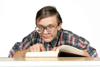 [nerd_385x261.jpg]