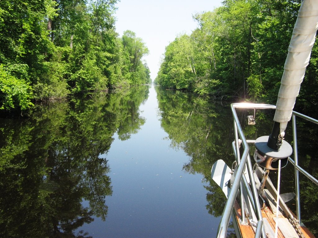 [DismalSwamp1.jpg]