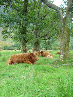 scottish highlands
