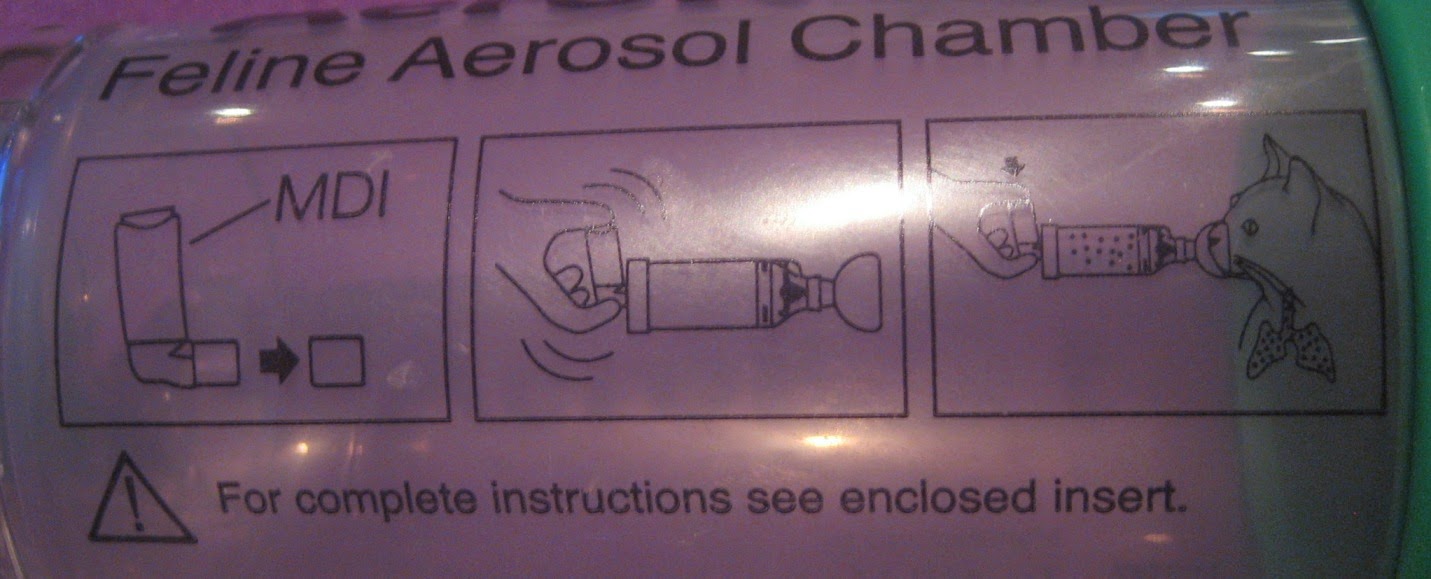 [aerokat-steps.JPG]