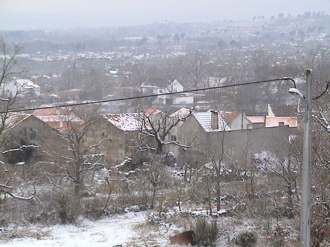 [DSC00803.JPG]
