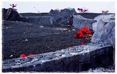 Giardino con lava