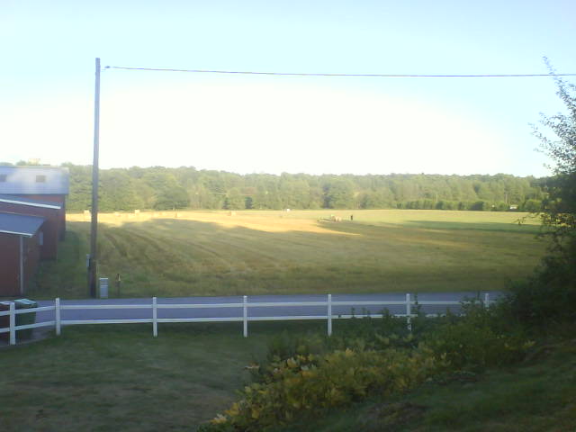 [DSC00074-733350.JPG]