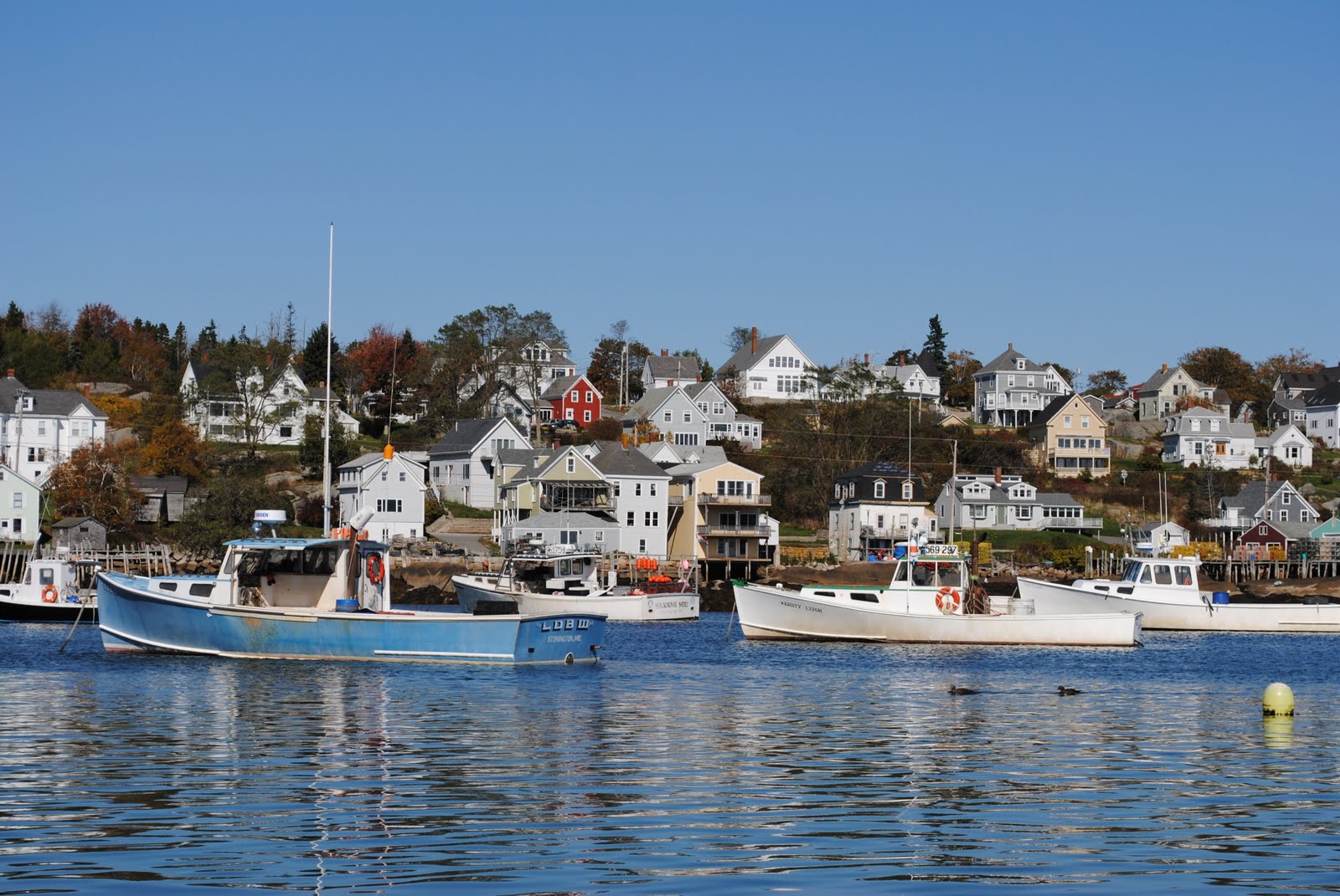 Downeast Days Deer Isle Delight