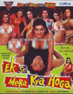 Ek Se Mera Kya Hoga