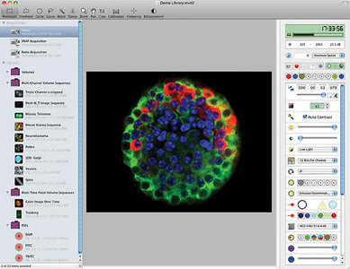 [000ac007_medium.gif]