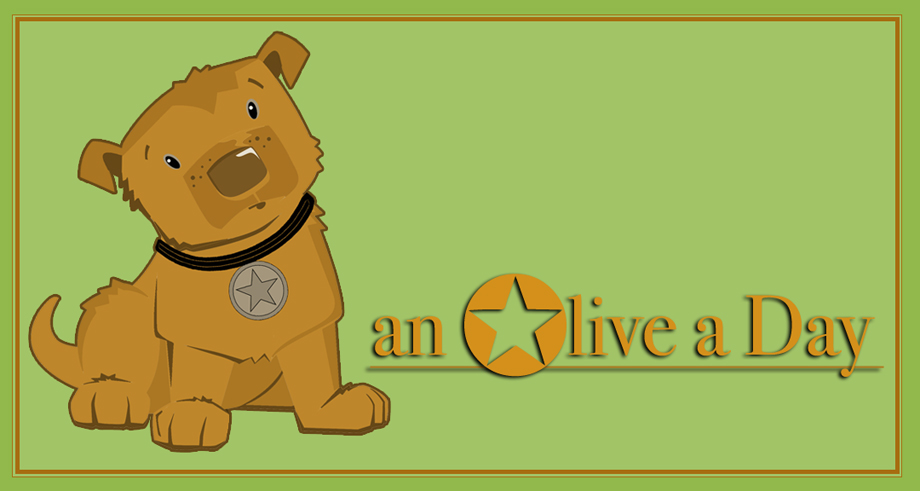 An Olive a Day
