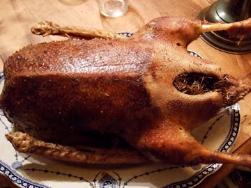 [DSCF4001.jpg]