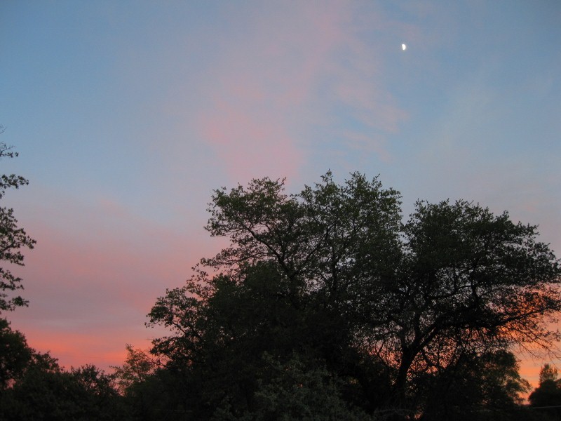 [02+Sunset+with+crescent+moon+Yarnell+AZ+(800x600).jpg]