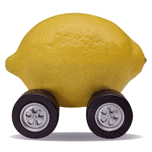 law lemon wisconsin