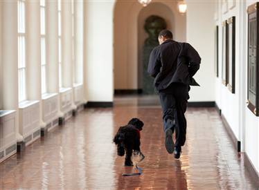 [Bo+and+Barack+Run.jpg]