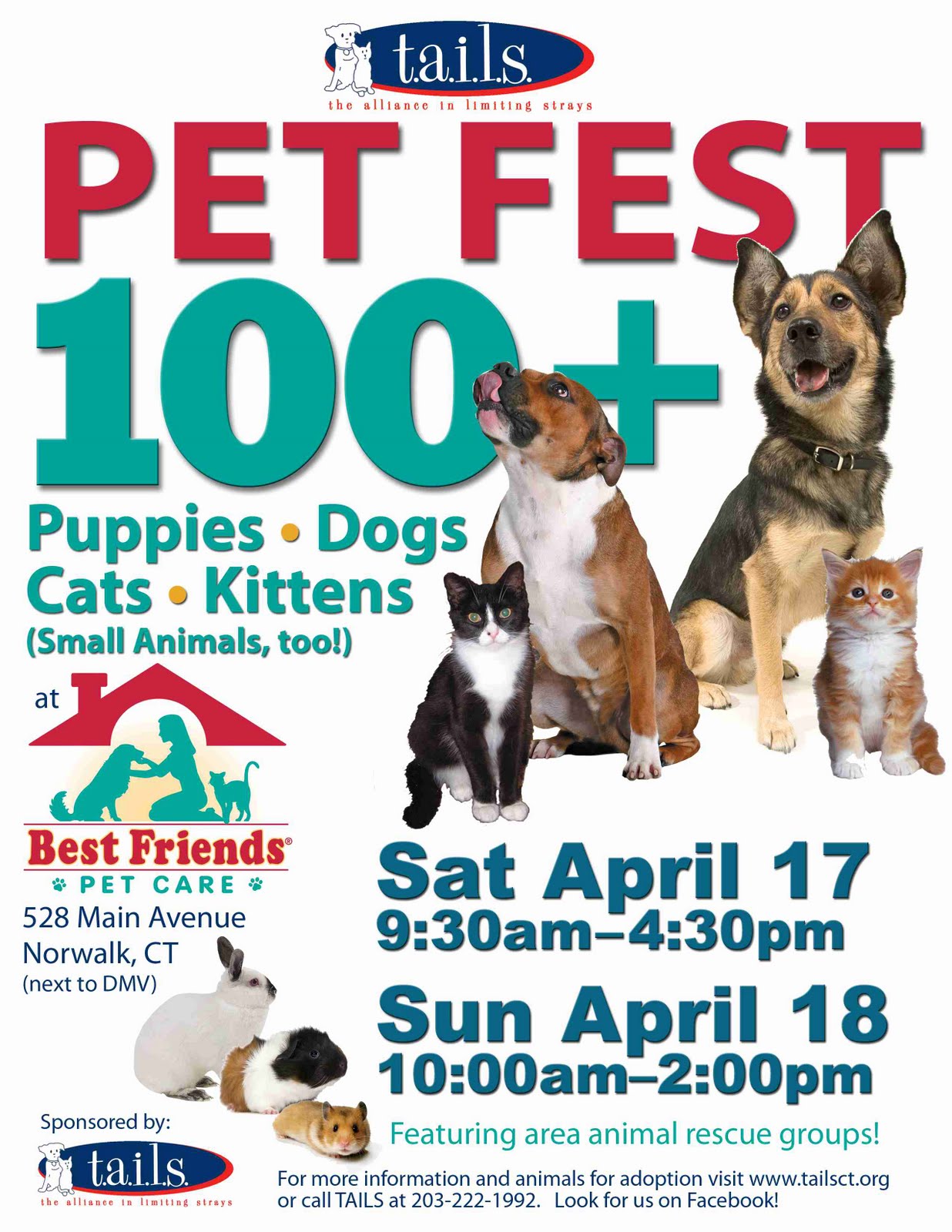 Best Friends Pet Store Adopt at Leslie Castillo blog