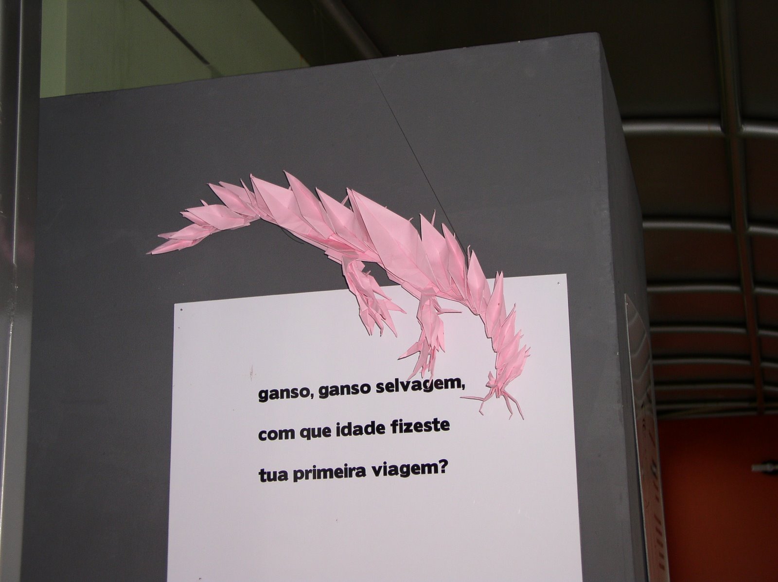 [hkiIssa.dragãoverm.CCVNjun09.JPG]