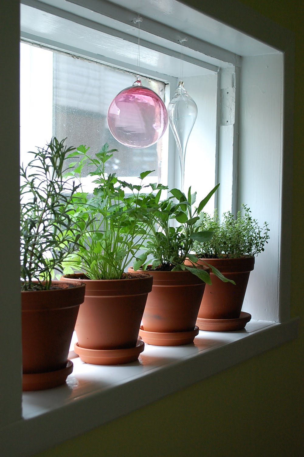 Window Herb Garden