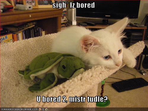 [funny-pictures-cat-is-bored.jpg]