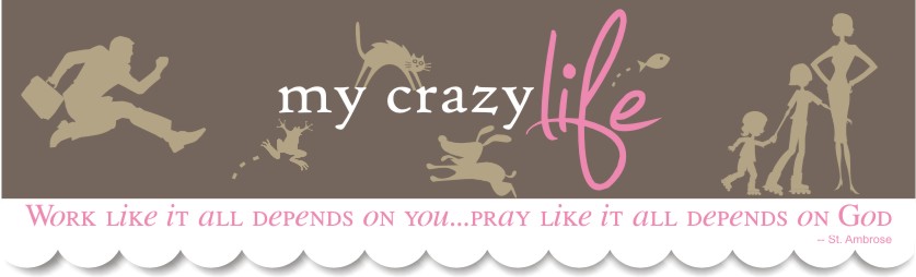 My Crazy Life